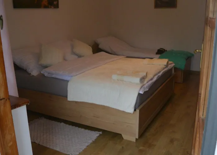 Sonia 波兰尼卡-兹德鲁伊