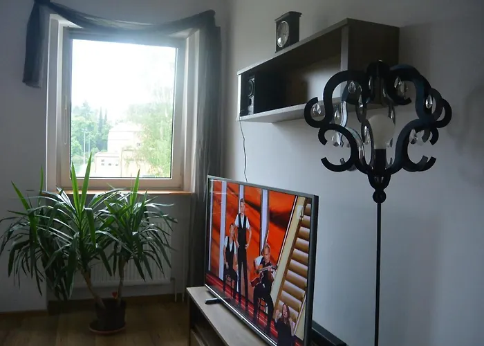 Sonia 波兰尼卡-兹德鲁伊