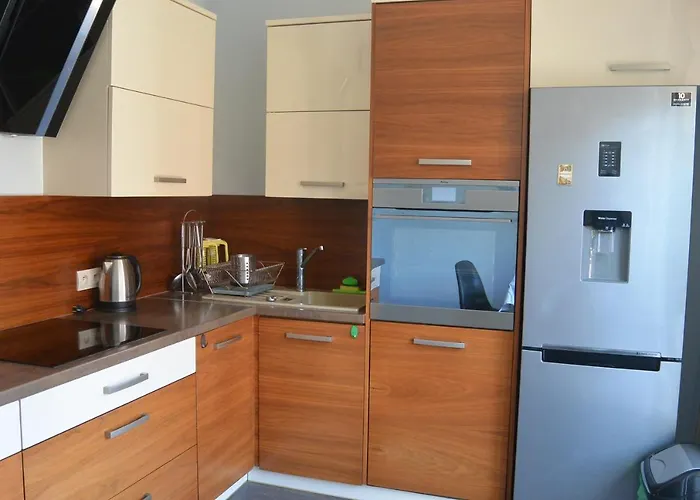 Sonia * 波兰尼卡-兹德鲁伊